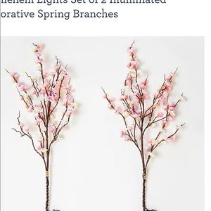 Bethlehem Lights - Illuminated branches set of 2